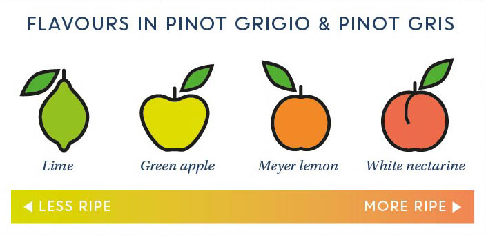 The flavour differences between pinot gris and pinot grigio